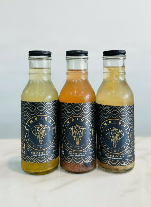 Mix de Kombucha