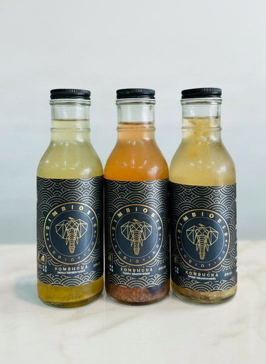 Mix de Kombucha